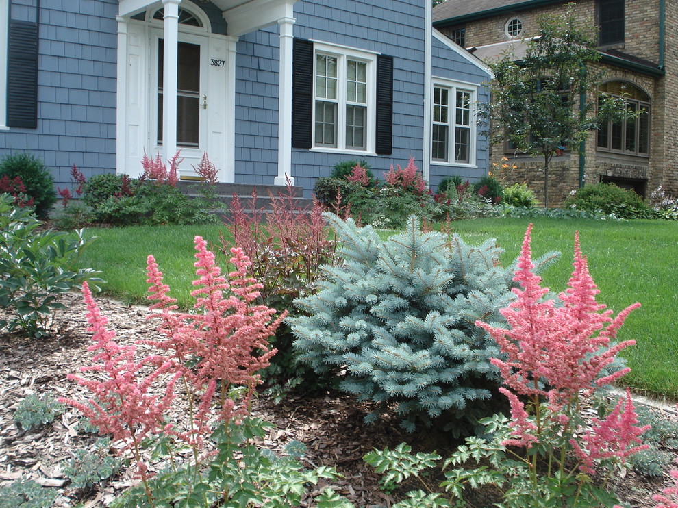 Design ideas for a mid-sized traditional front yard full sun garden in Minneapolis.