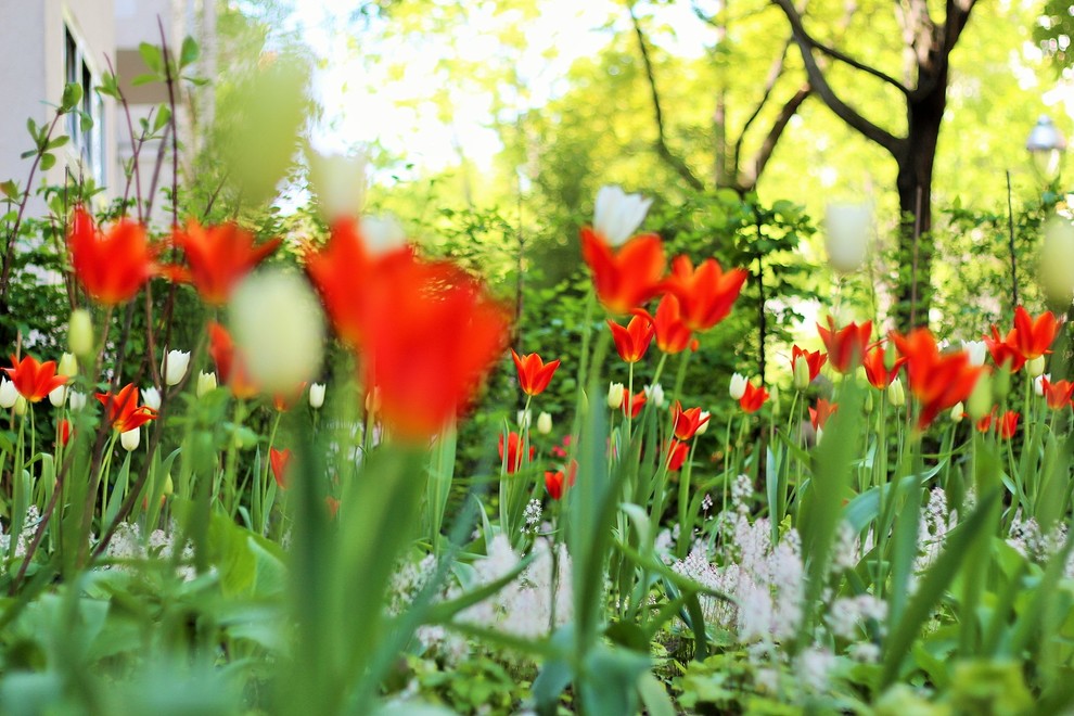 Klassischer Garten in Berlin