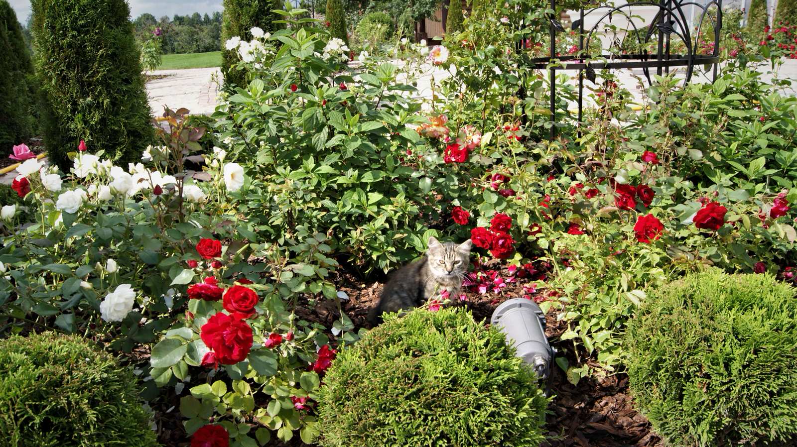 ИЗ ВАРЯГ В ГРЕКИ