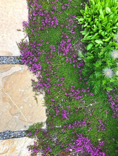 Mountain Magic contemporaneo-giardino