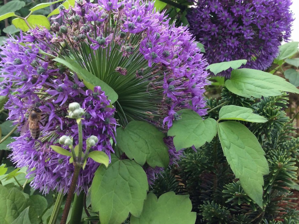 СНЫ О ЧЕМ_ТО БОЛЬШЕМ...