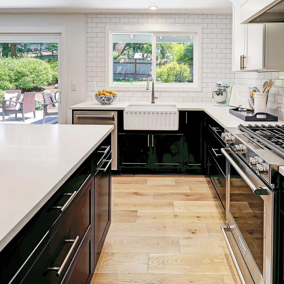 Kitchen - transitional kitchen idea in Miami