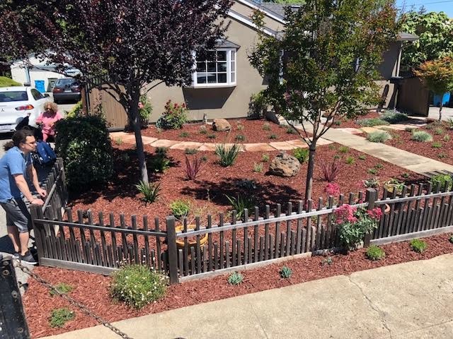 Drought Tolerant Landscaping- Front & Backyard