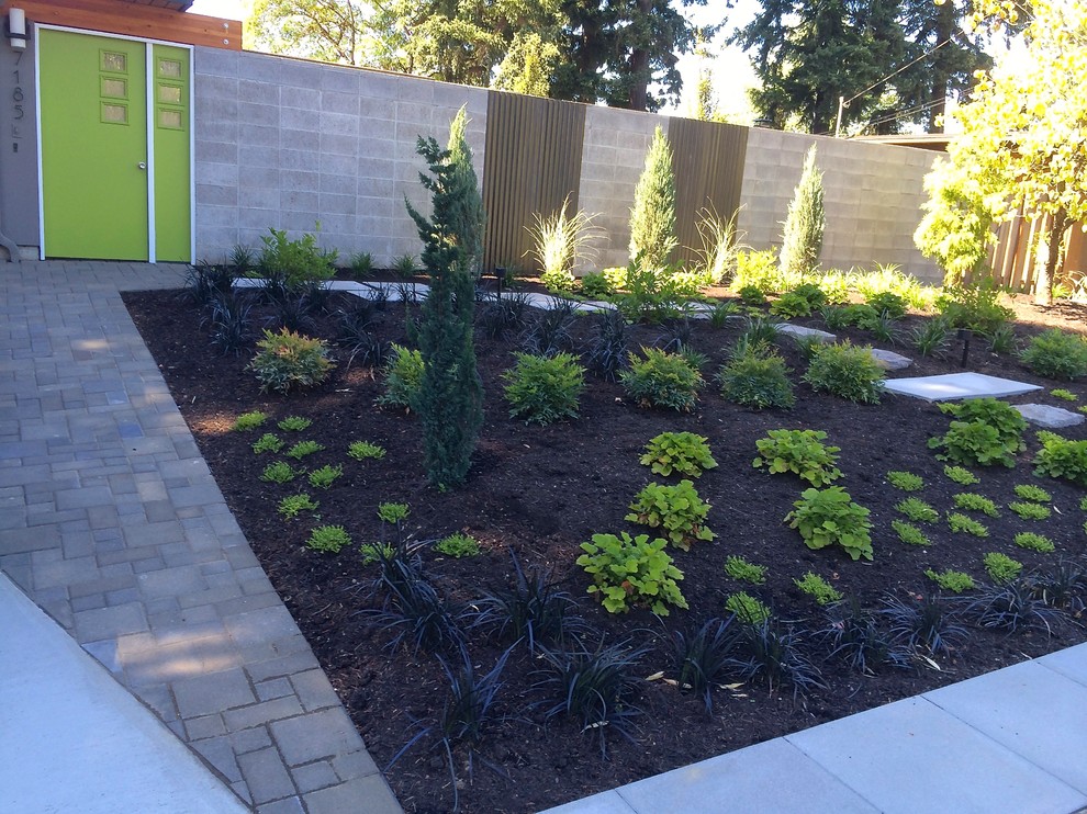 This is an example of a small front yard full sun garden in Portland with a garden path and concrete pavers.