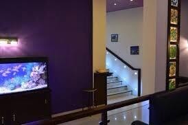 Архитектурно-дизайнерские услуги: