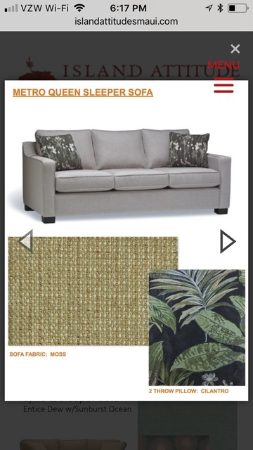 sleeper sofas 