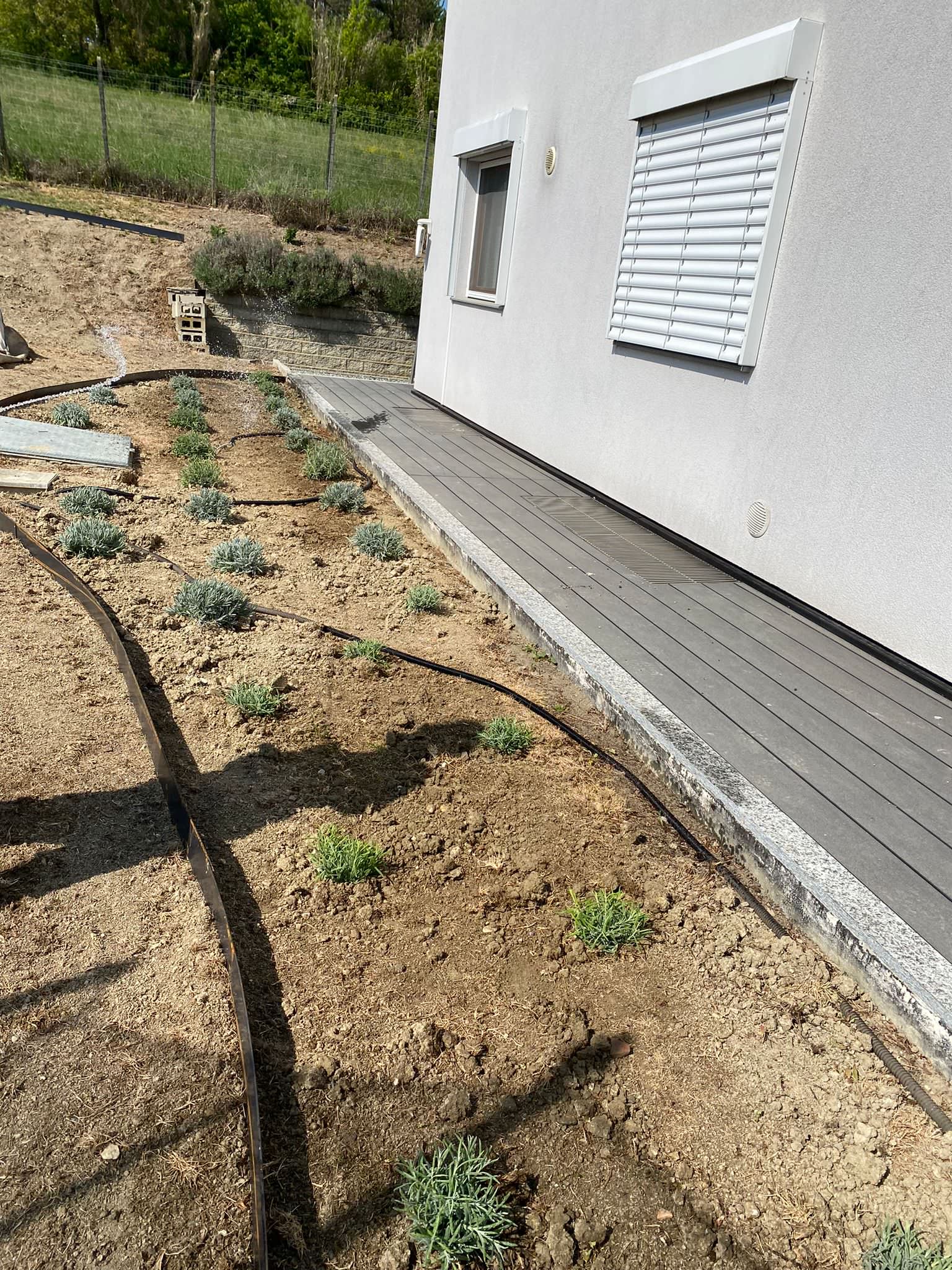 Realizzazione Le colline in fiore