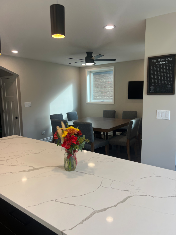 Chicago Kitchen/Dining Renovation