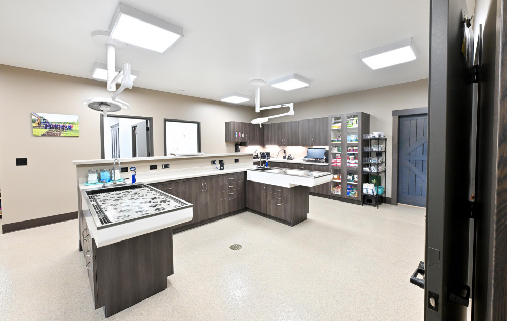 Ashland Vet Project