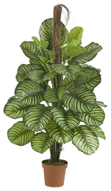52" Calathea Silk Plant, Real Touch, Green