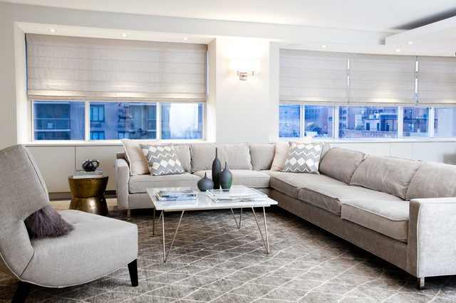 East Side Contemporary trendy-dagligstue