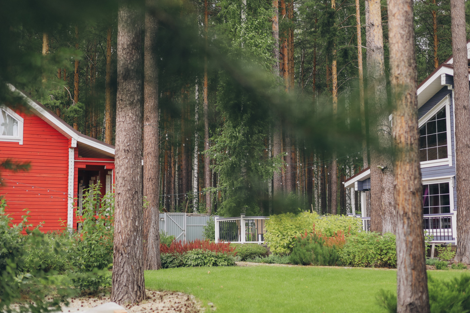 50 оттенков красного