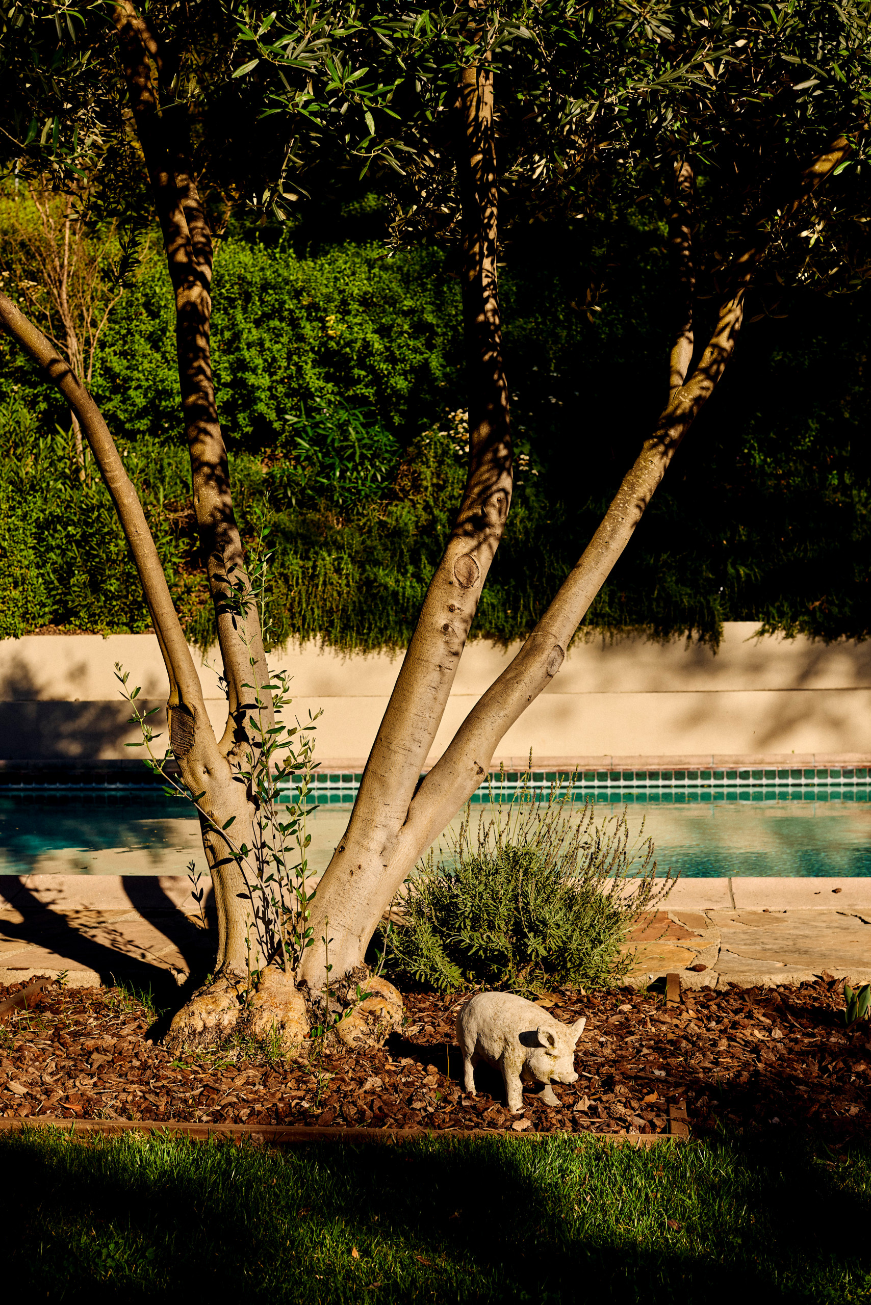 Blairwood Drive