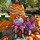 beverly_hoeke