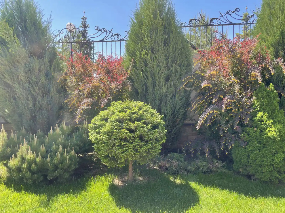 «КЛАССИКА ЖАНРА»