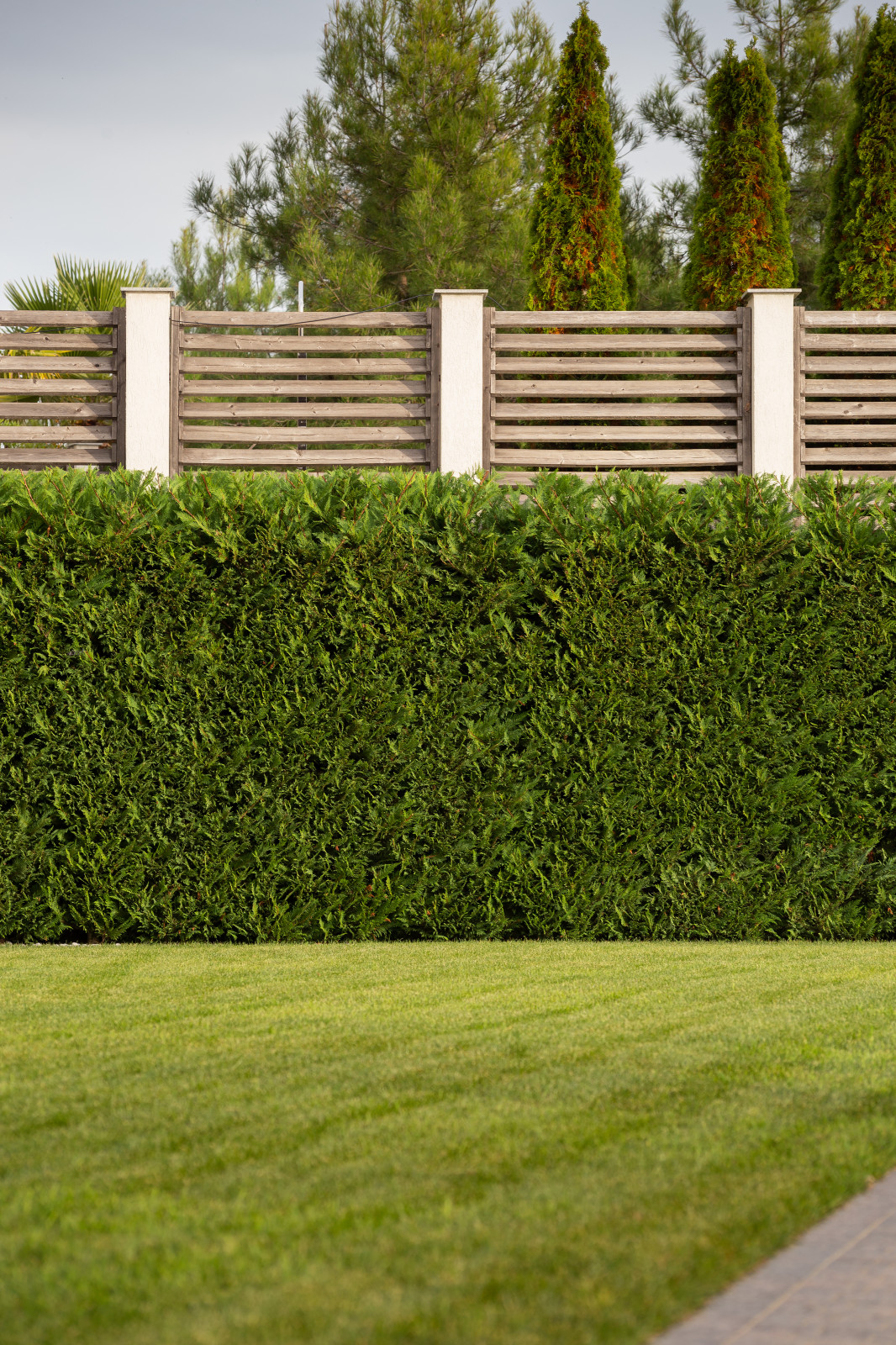 Лазурный Берег Сочи