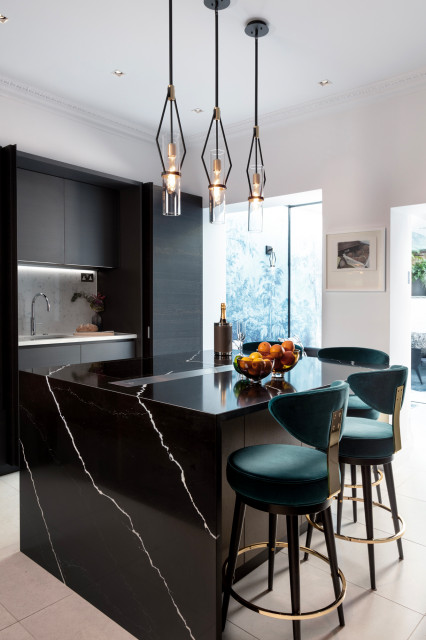 Elegant Living contemporary-kitchen