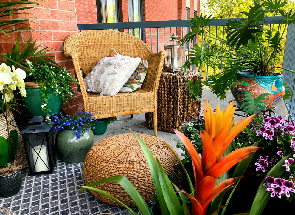 PROJET  : TROPICAL