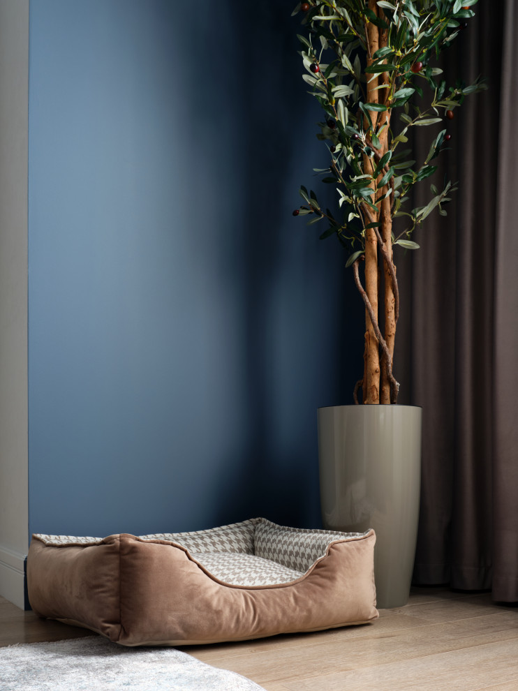 Фото "Пять звёзд" Реализация