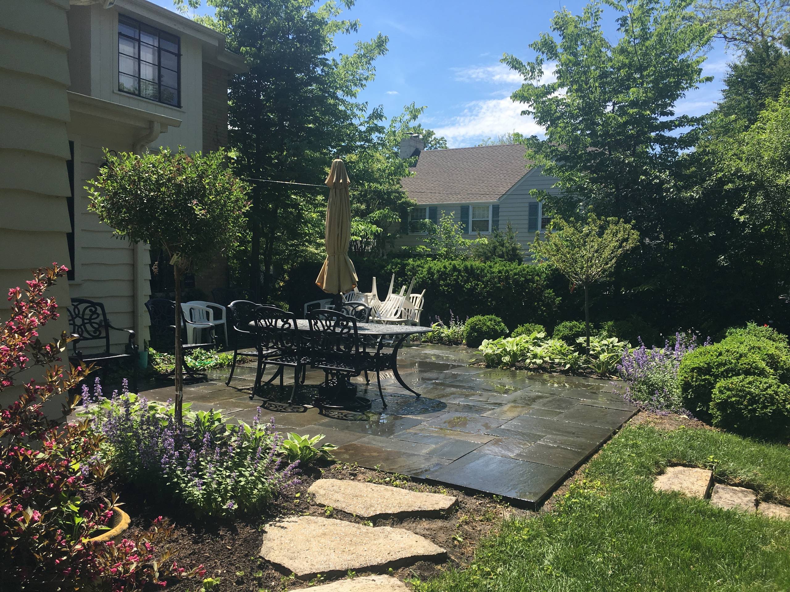 Patio + Landscape