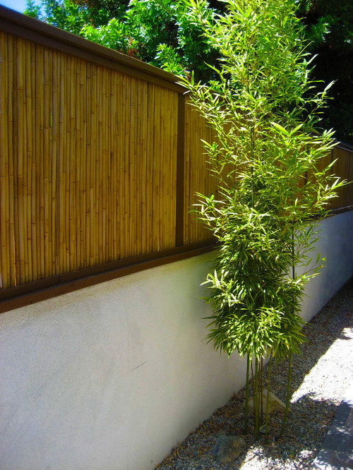 The panels of this bamboo fence are used to make this concrete fence taller and more decorative. Live bamboo is planted in front of it in a narrow trench, and with time, could form a living barrier as well.