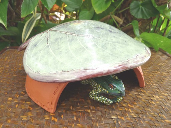 Frog House Toad Abode House Garden Leaf Design