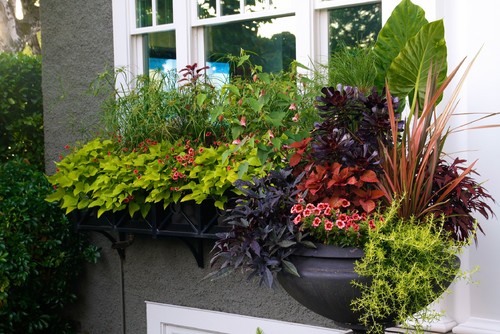 Container Gardening Magazine, 2012 Edition