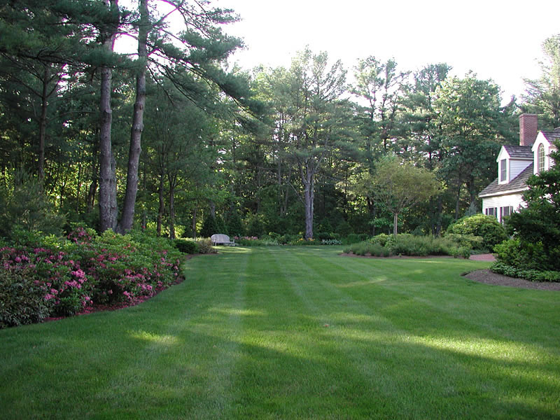 Large sweeping lawn with woodland filled with Knock out roses, expo azaleas, at rear of the property.