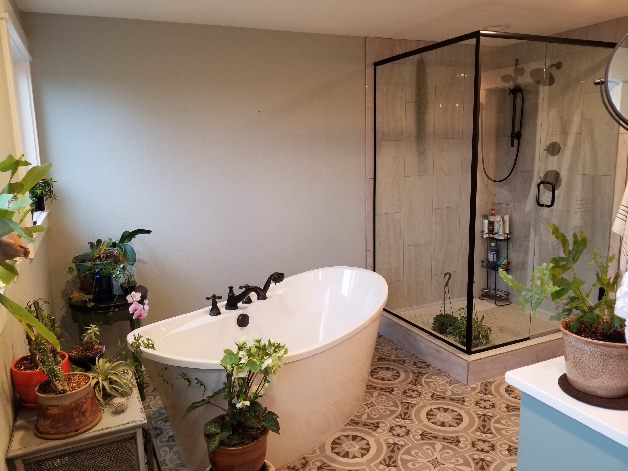 Whole house remodel