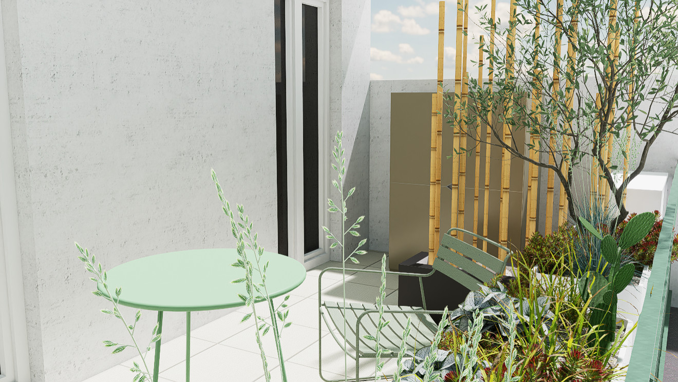 Urban succulents: suggestioni desertiche