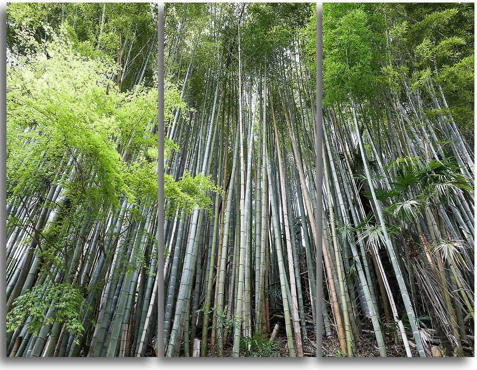 Bamboo Forest Artwork - Things Artwork Paradise