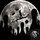 tara_woloch_renton
