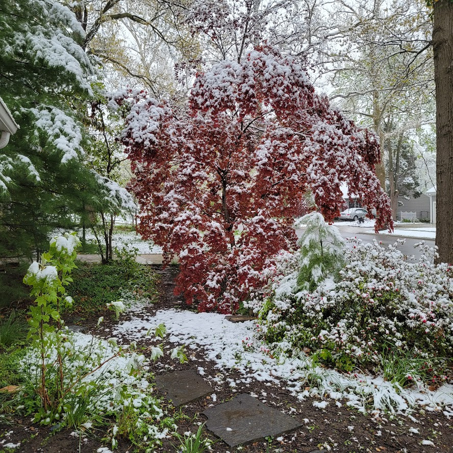 Spring Gardens $