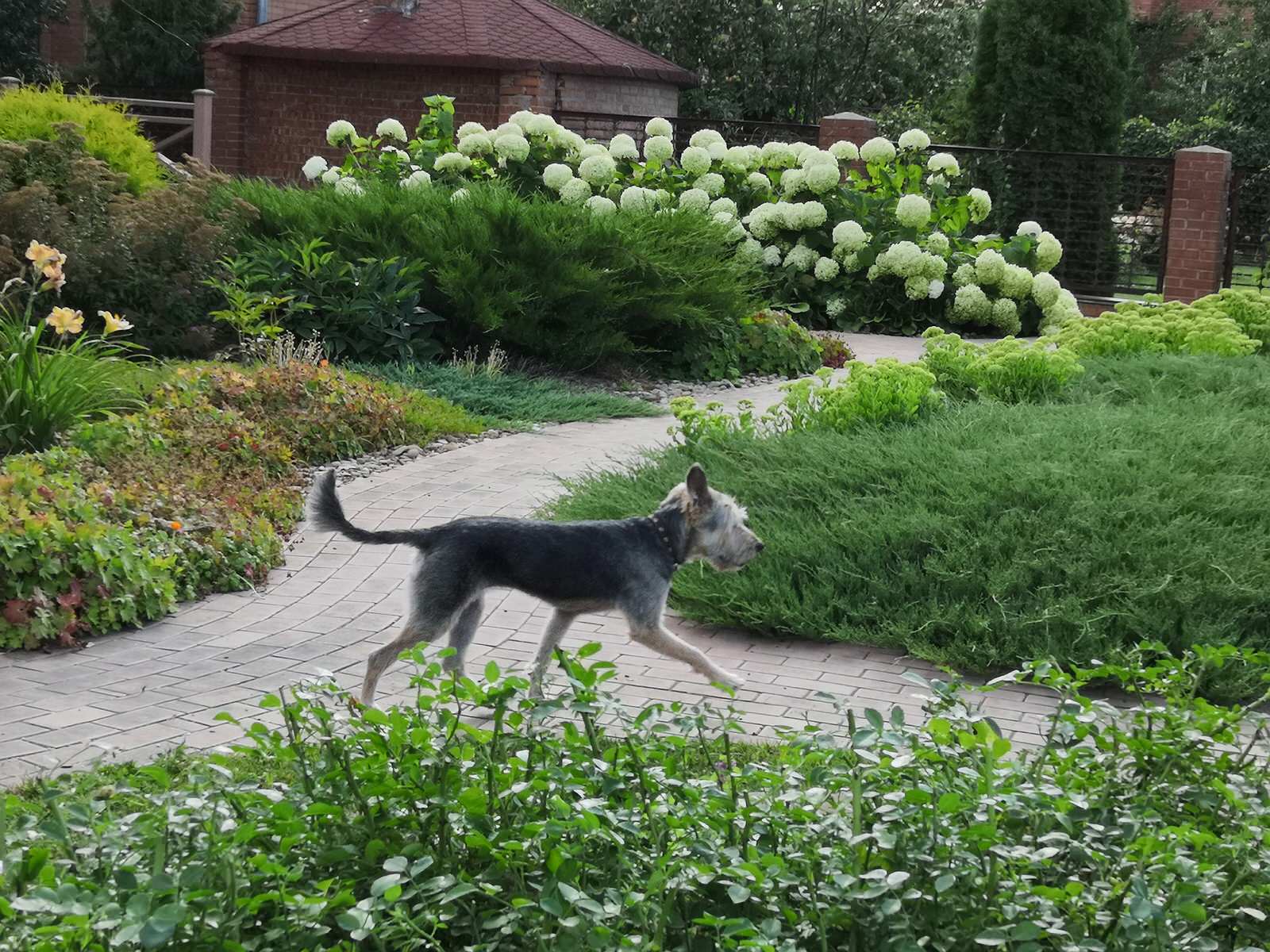 Сад на двух ярусах