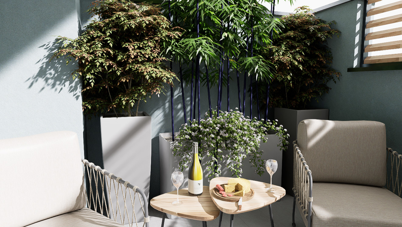 Il giardino svelato