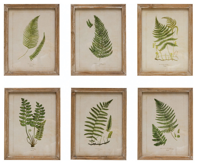 Wood Framed Glass Wall Decor With Fern Fronds Image, 6Piece Set