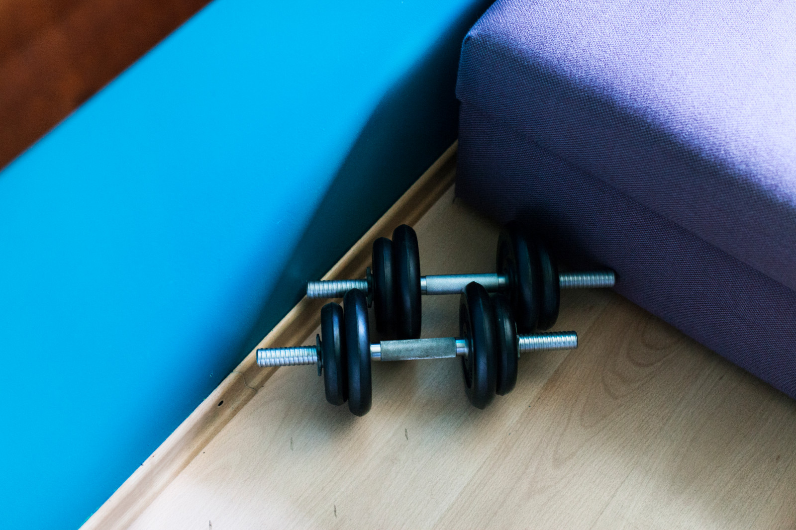 София/ дом художников