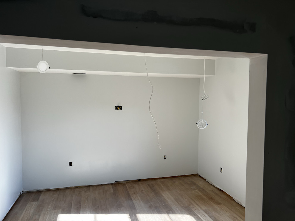 Basement Remodel