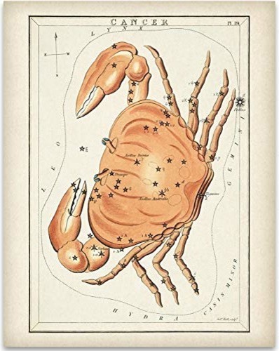 Antique Zodiac Leo Constellation Plate Home Decor 11x14 Unframed Art Print 