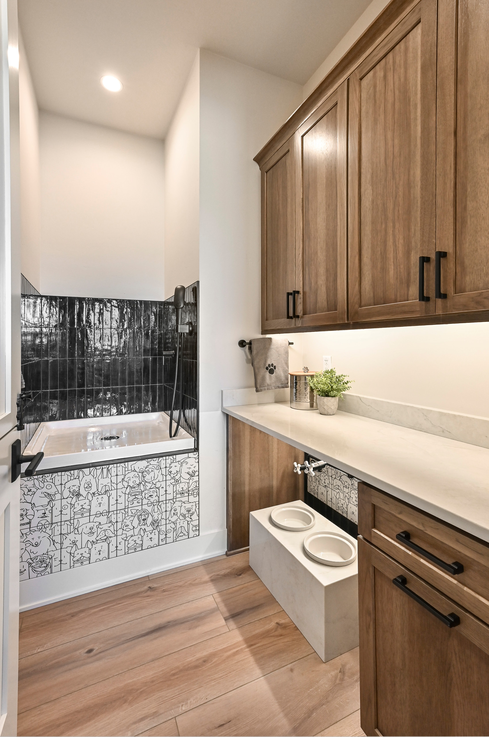 Oconomowoc Modern Rustic House
