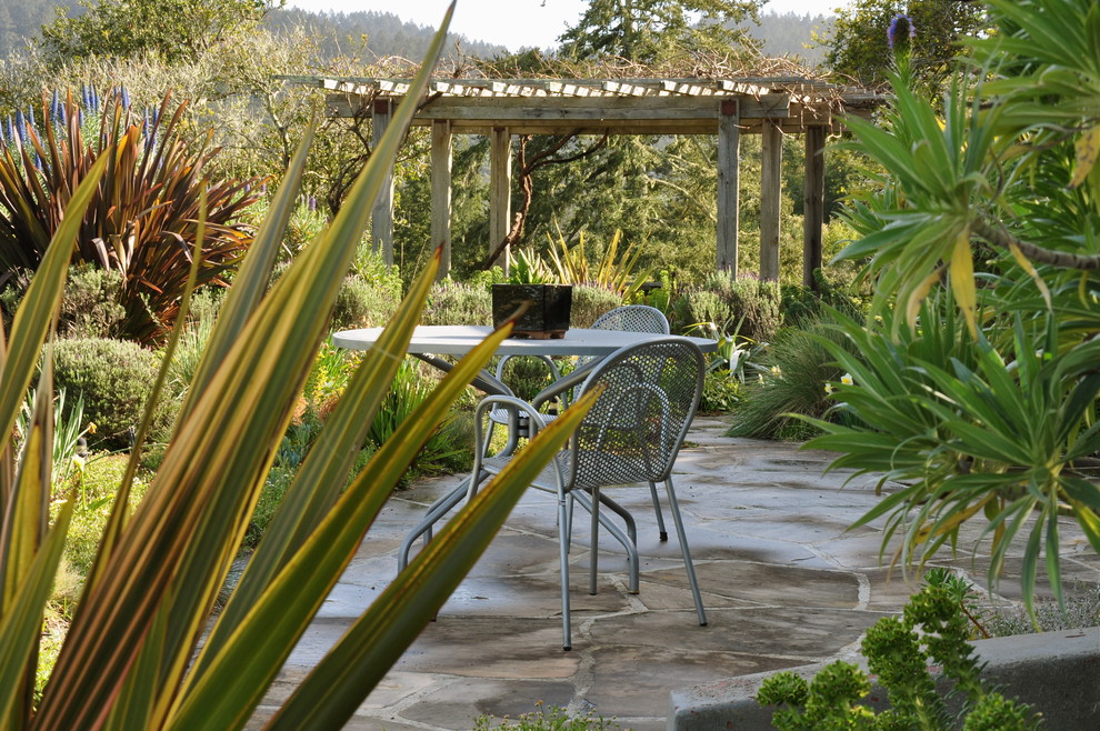 Inspiration for a country backyard patio in San Francisco with natural stone pavers.