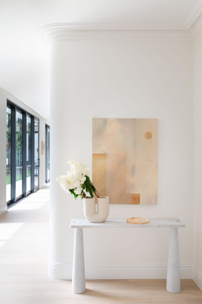 Design ideas for a contemporary foyer in Canberra - Queanbeyan with white walls, light hardwood flooring, a single front door and a glass front door.