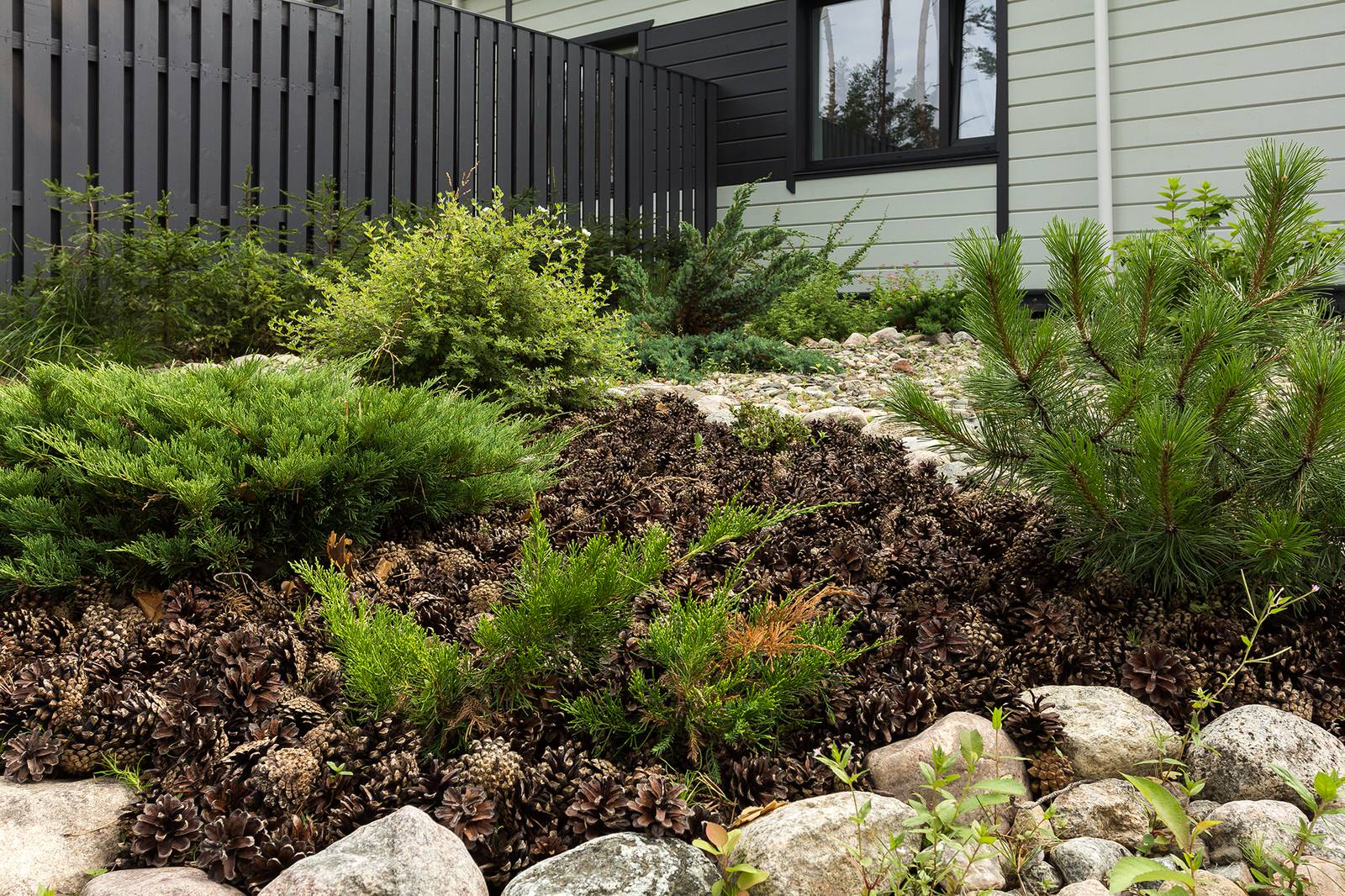 Мульчирование