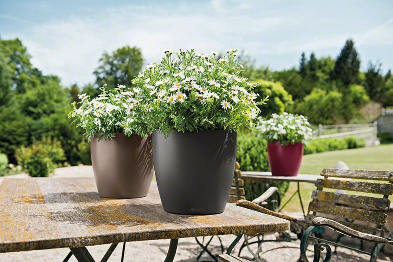 Самый популярный летний стиль