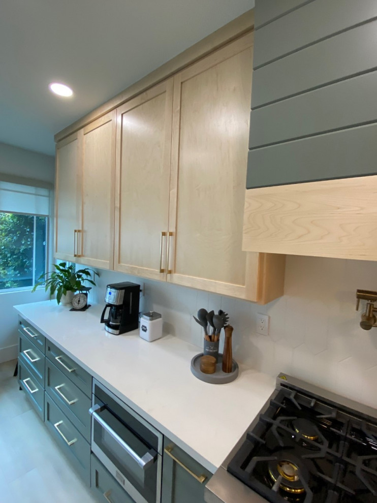 Folsom- Upscale Transitional Kitchen