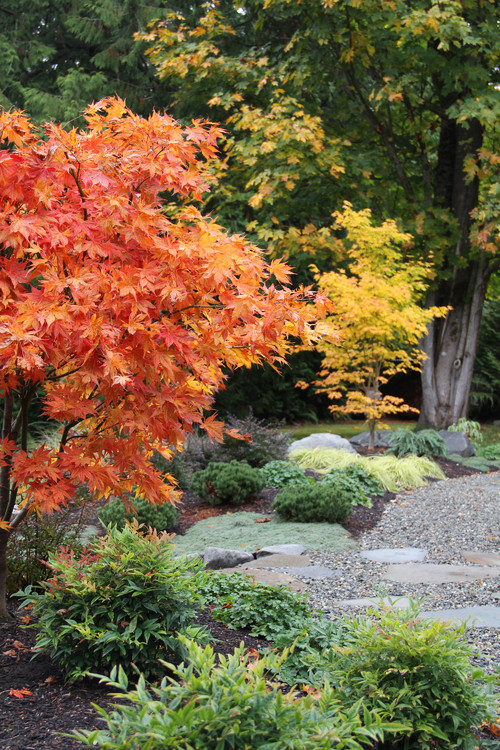 pas japonais et gravier décoratif pour le sol du jardin  Conception de  jardin japonais, Conception de jardin, Jardin japonais moderne