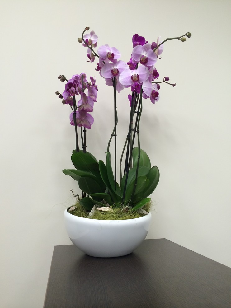 Цветочные композиции