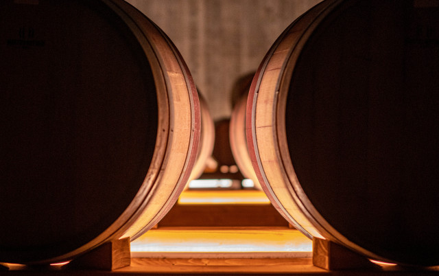 Cantina Monte Vibiano Vecchio Minimalistisch Weinkeller Rom von