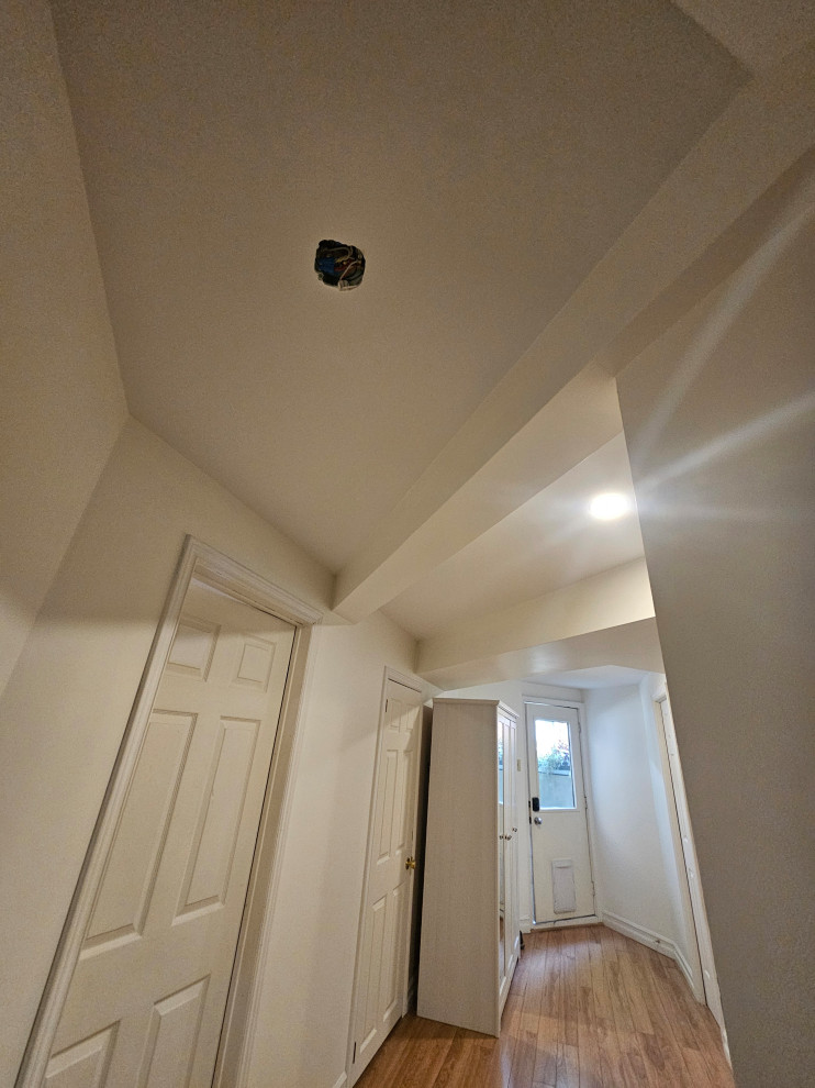 Drywall Ceilings & Interior basement painting. (Guelph)
