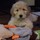 caron_mogilner